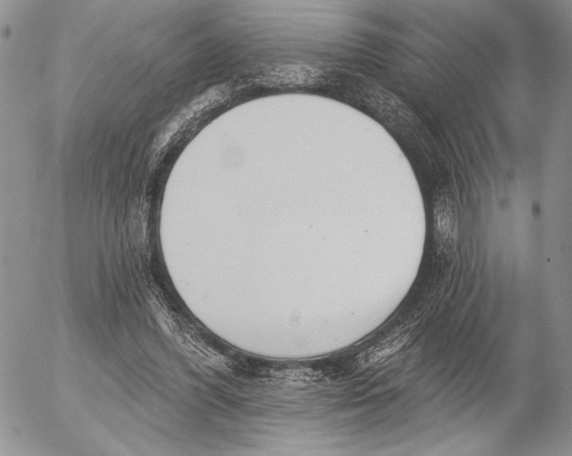 X0000053000396200507291648