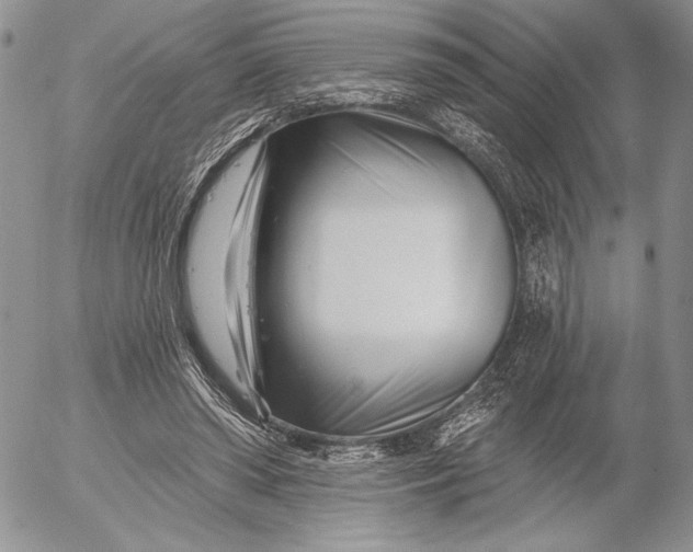 X0000053000398200507291648