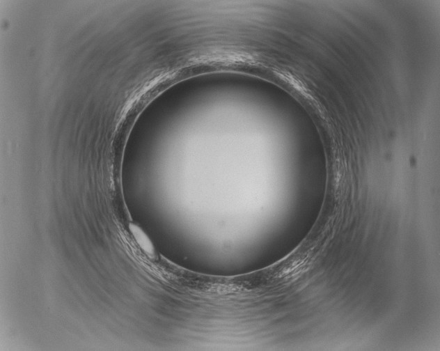 X0000053000399200507291647