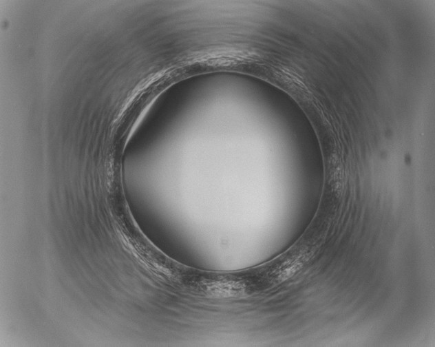 X0000053000400200507291647