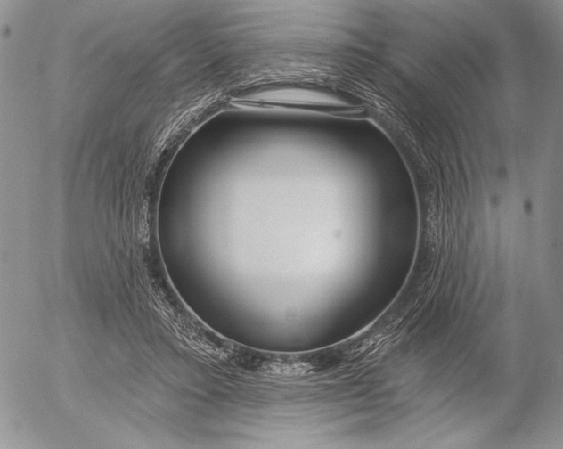 X0000053000403200507291647