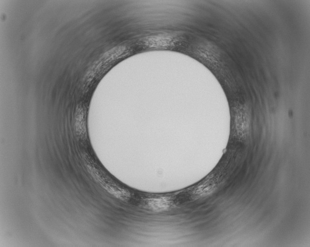 X0000053000411200507291647