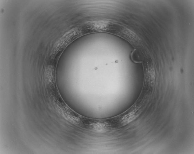 X0000053000412200507291647