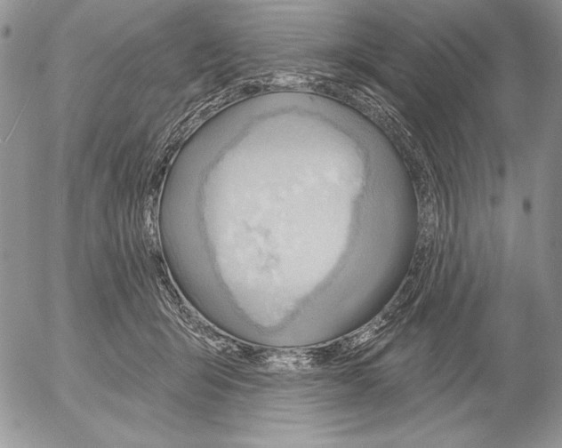 X0000053000415200507291647