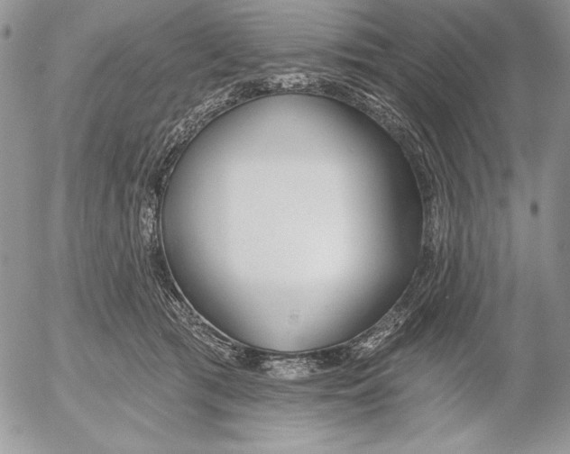 X0000053000417200507291647