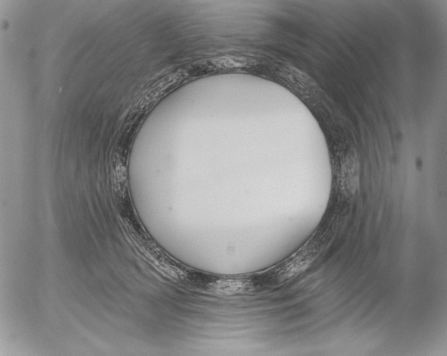 X0000053000418200507291647