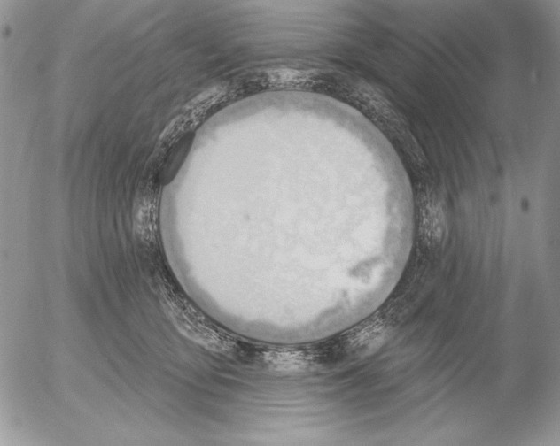 X0000053000419200507291647