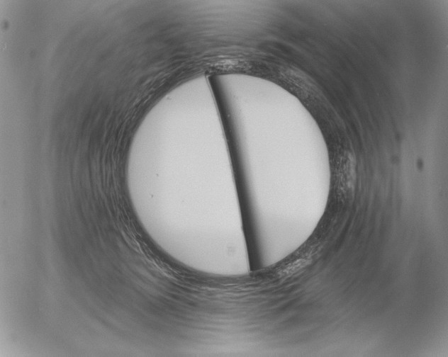 X0000053000420200507291647