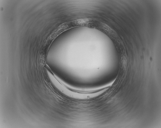 X0000053000421200507291647