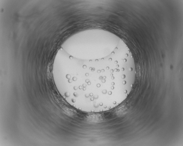 X0000053000422200507291647