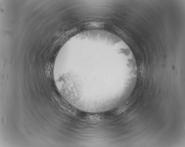 X0000053000423200507291647