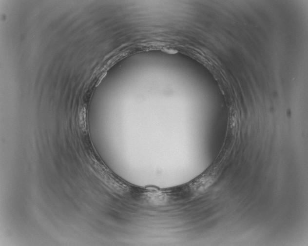 X0000053000425200507291647