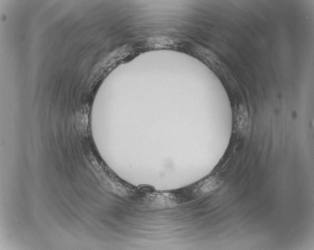 X0000053000427200507291647