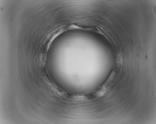 X0000053000428200507291647