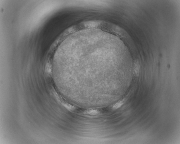 X0000053000431200507291647