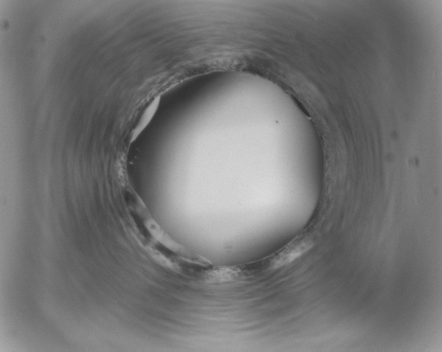 X0000053000432200507291647