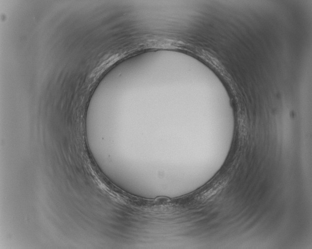 X0000053000433200507291646