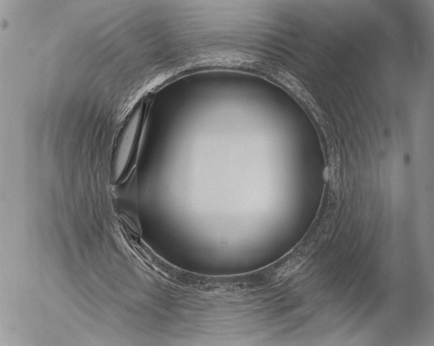 X0000053000434200507291646