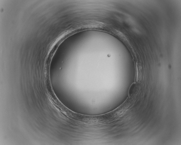 X0000053000435200507291646