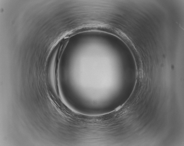 X0000053000436200507291646