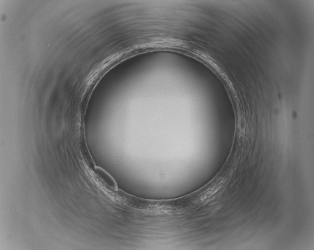 X0000053000437200507291646