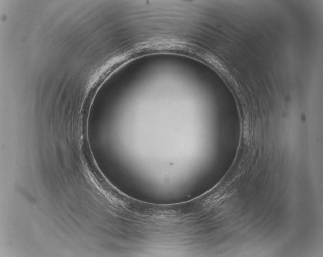 X0000053000438200507291646