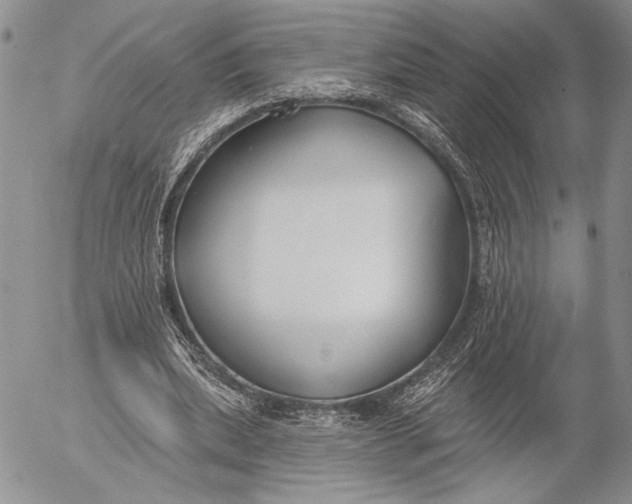 X0000053000439200507291646