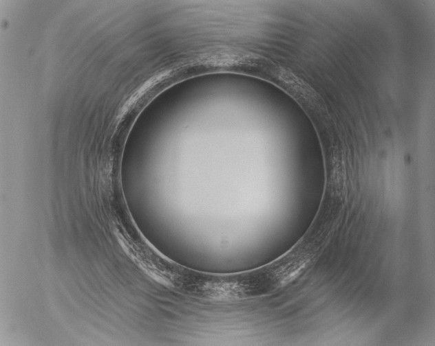 X0000053000440200507291646