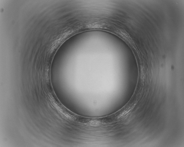 X0000053000441200507291646