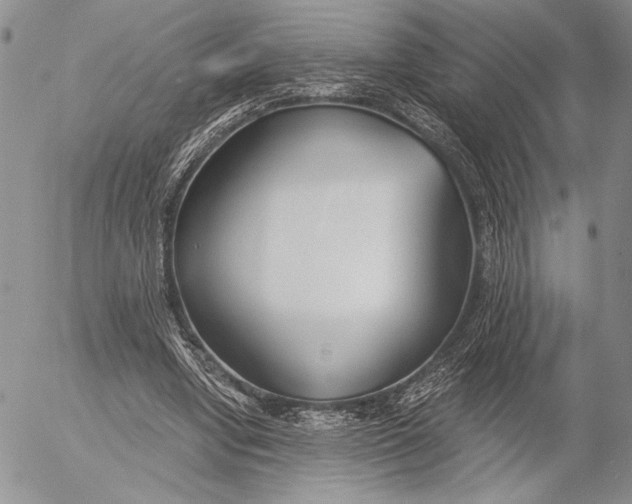 X0000053000442200507291646