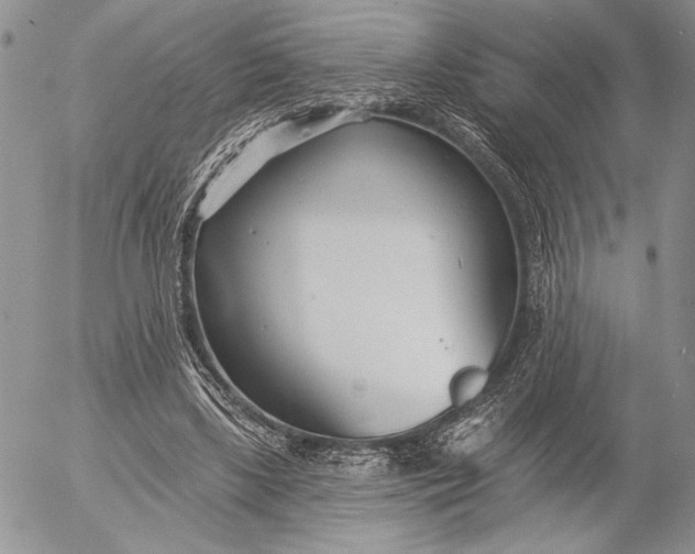 X0000053000443200507291646