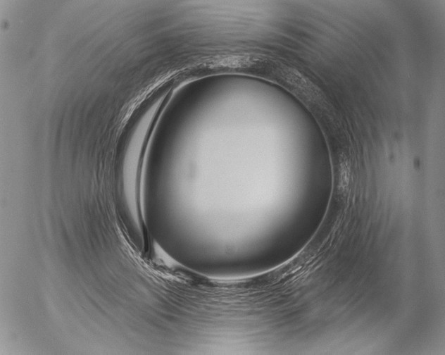 X0000053000444200507291646