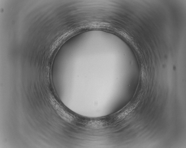 X0000053000445200507291646