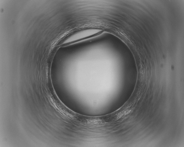 X0000053000446200507291646