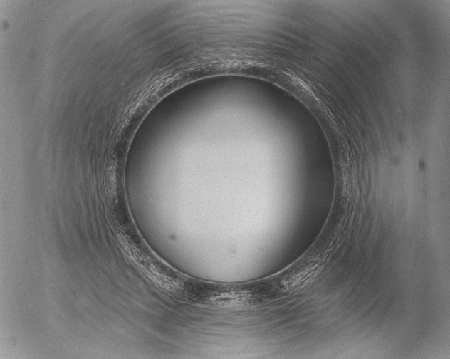 X0000053000447200507291646