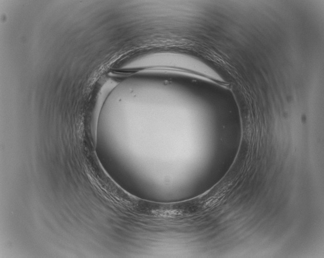 X0000053000448200507291646