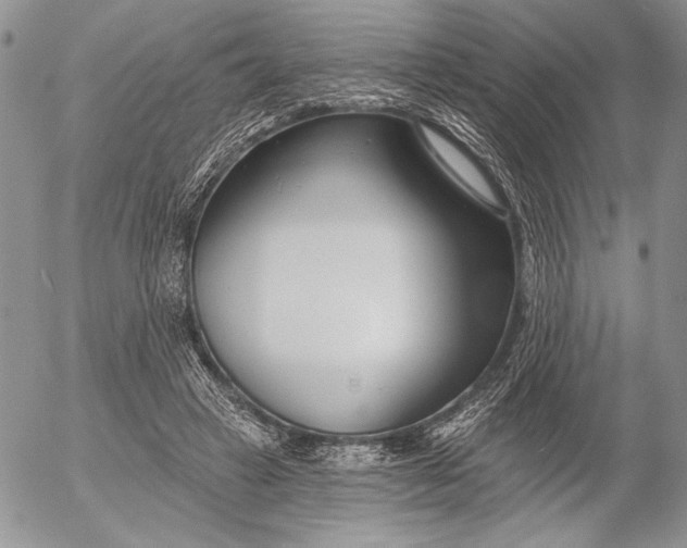 X0000053000449200507291646