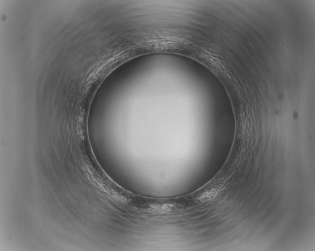 X0000053000450200507291646