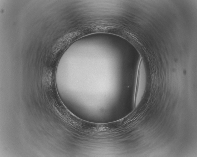 X0000053000451200507291646