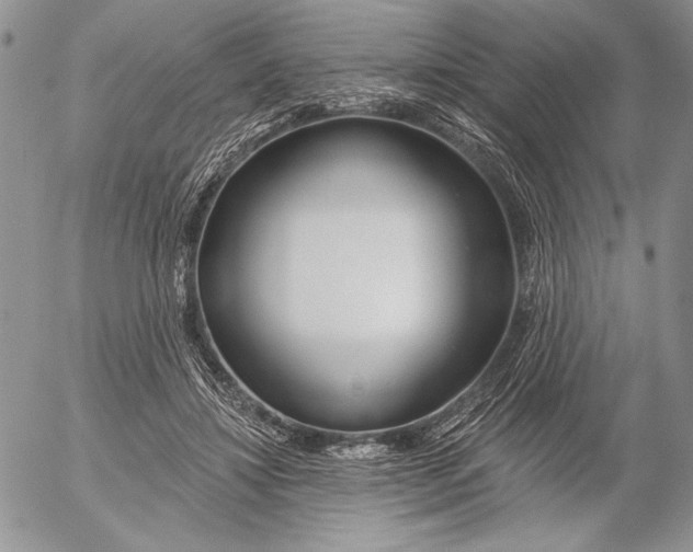 X0000053000452200507291646