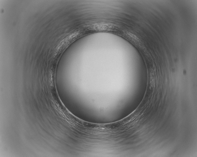 X0000053000453200507291646