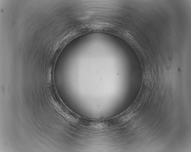 X0000053000454200507291647