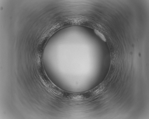 X0000053000456200507291647