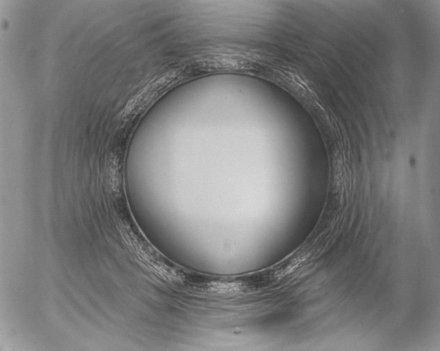 X0000053000457200507291647