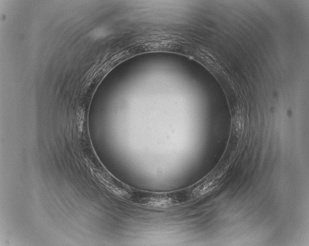 X0000053000458200507291647