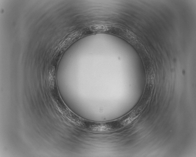 X0000053000460200507291647