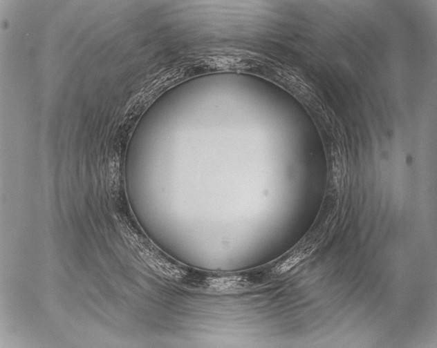 X0000053000461200507291647