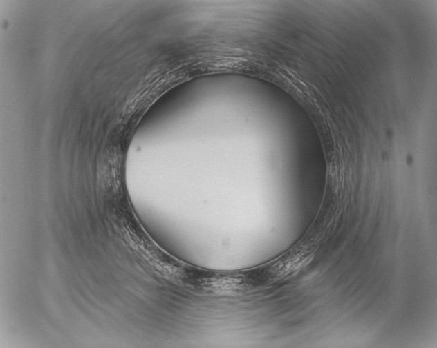 X0000053000462200507291647