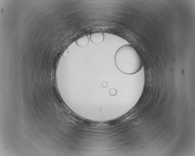 X0000053000463200507291647