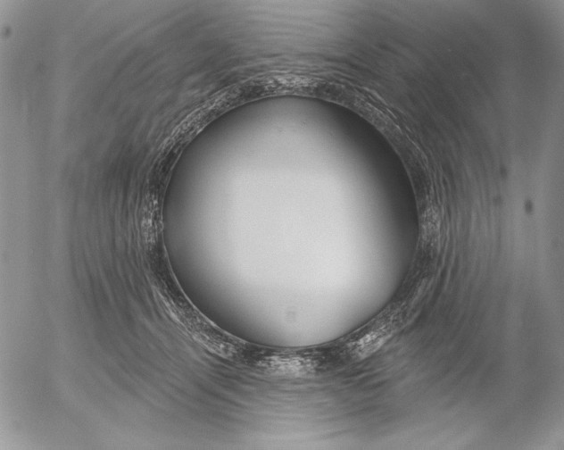 X0000053000464200507291647